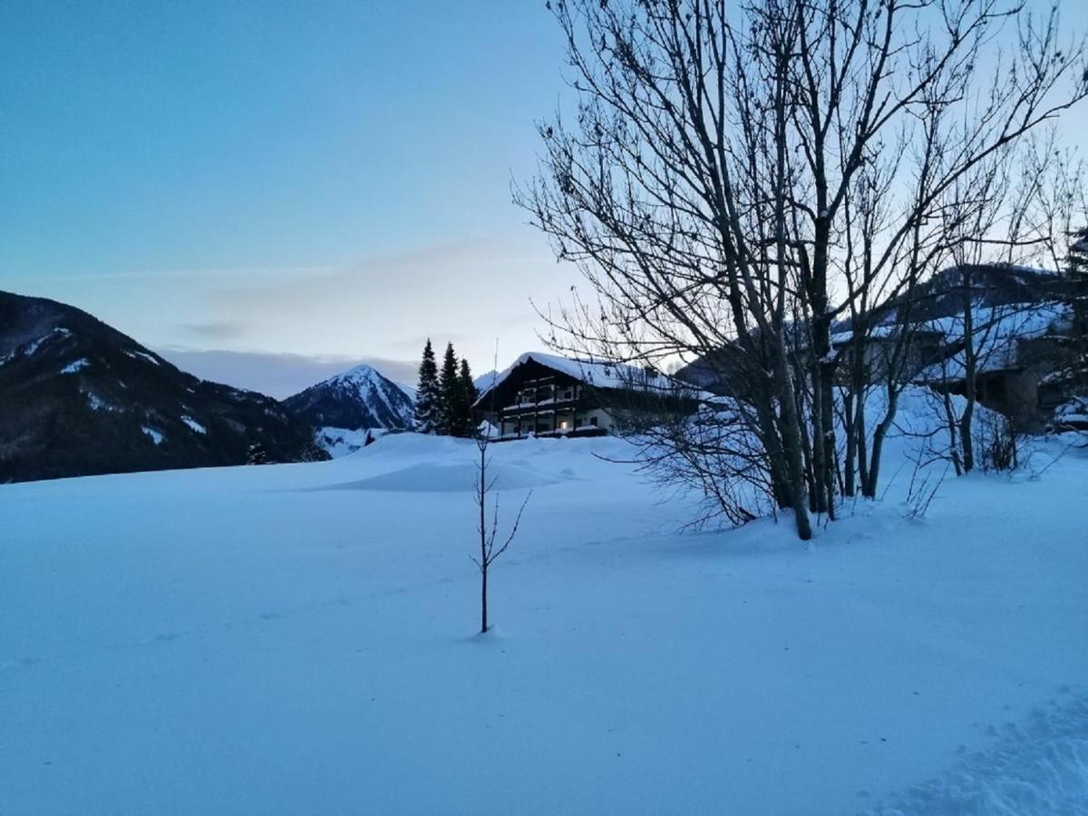 Zur Sonnigen, Eleganten Kuh Schladming Exterior photo